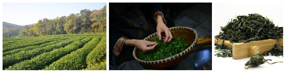 1658909395112396.jpg 茶葉組合.jpg